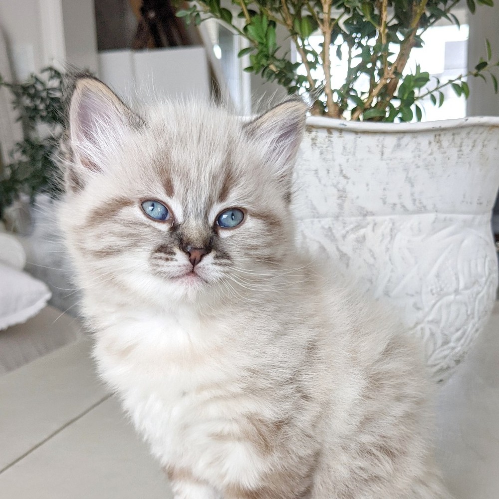Meet your Posher, Melisa